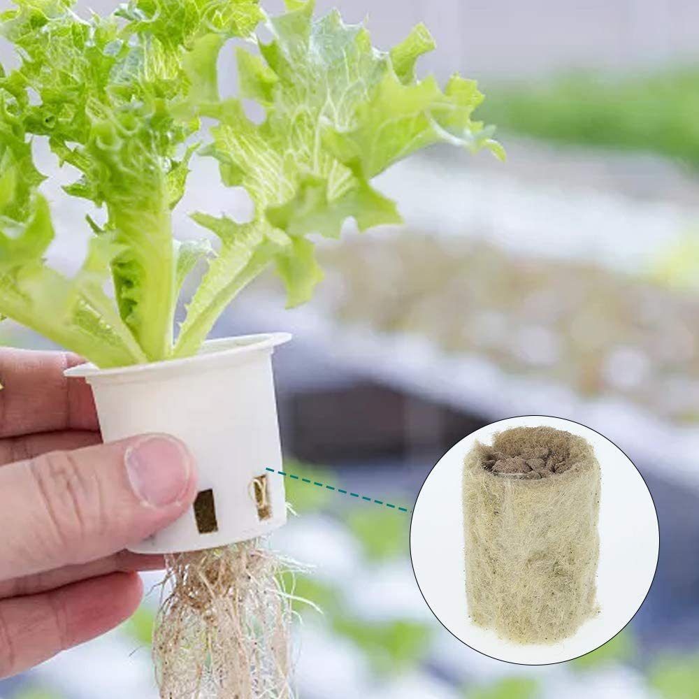 50個入り 27*20mmサイズ 水耕栽培用苗ブロック 水耕 - Nursery Plug Tray のレビューと価格